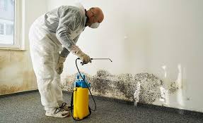 Environmental Consulting for Mold Prevention in Shrewsbury, PA